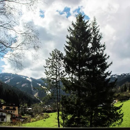 Schmittenbach - Pinzgau Holidays